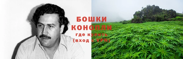 дурь Козельск