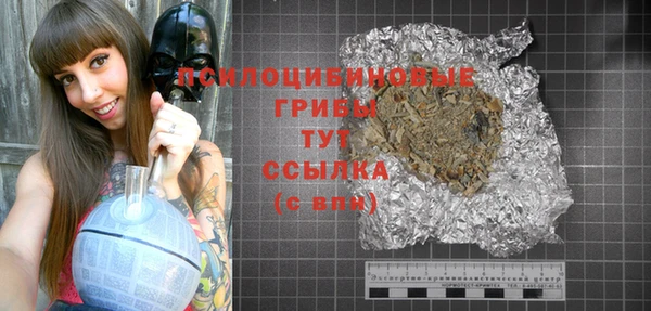 спиды Костерёво