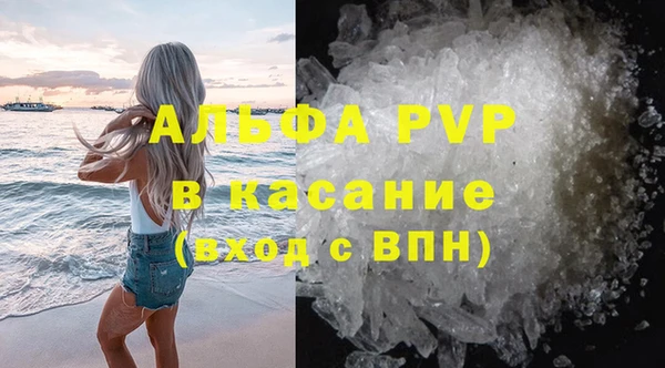 стафф Козловка