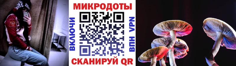 Купить где  Волгореченск  Псилоцибиновые грибы мицелий 
